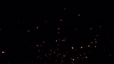 Soyut dikişsiz parlayan ateş parçacıkları kül kıvılcımları şeffaf alfa kanalı ile yükselen animasyon projenizin arka planında kullanılabilir. 4K 3D kaotik hareket Alevli turuncu parlayan kor yanan 