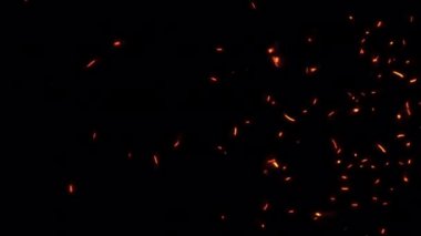 Soyut dikişsiz parlayan ateş parçacıkları kül kıvılcımları şeffaf alfa kanalı ile yükselen animasyon projenizin arka planında kullanılabilir. 4K 3D kaotik hareket Alevli turuncu parlayan kor yanan 