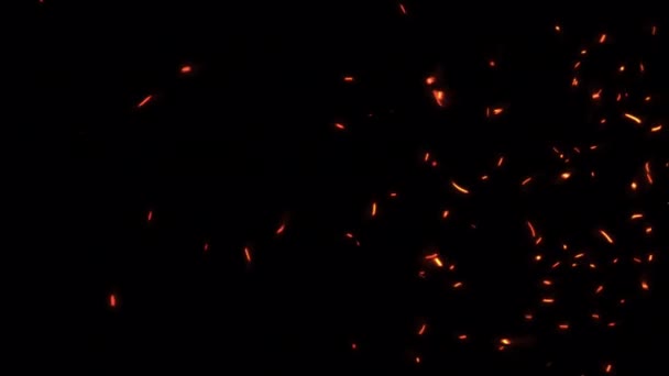 抽象的无缝循环发光的火球灰火花上升动画与透明的阿尔法通道可以用来覆盖您的项目背景 火焰橙色燃烧燃烧的4K三维混沌运动 — 图库视频影像