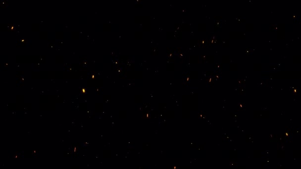 循环发光橙色的红色颗粒的火落在黑色的背景上 项目屏幕覆盖 熊熊燃烧的红色橙色火焰燃烧灰烬部分的4K 3D动画 信道分离透明Quicktime探测仪444 — 图库视频影像