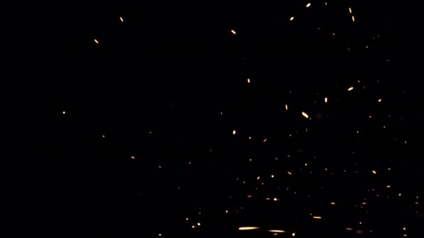 Abstrakte Schleife Glühen Feuerpartikel Aschefunken Aufsteigen Mit Transparenten Alphakanal Kann — Stockvideo