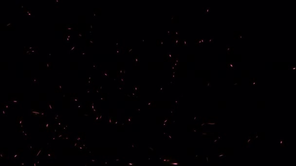 Abstrakte Schleifen Glühen Feuerpartikel Aschefunken Die Mit Transparentem Alphakanal Aufsteigen — Stockvideo