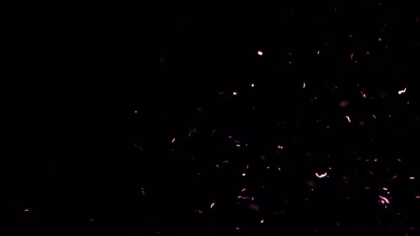 Loop Flow White Dust Particles Sparks Rising Black Abstract Background — Video Stock