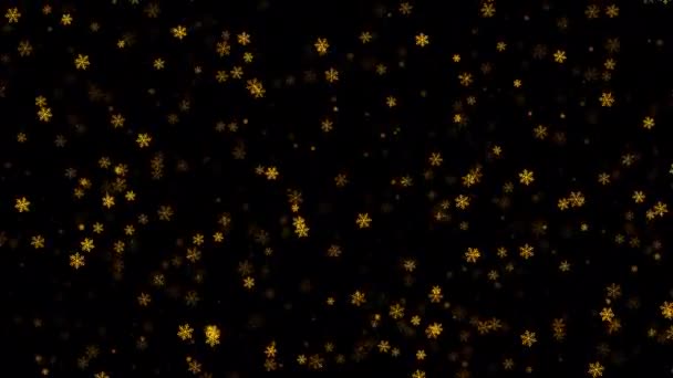Петля Красива Падає Світяться Золотими Сніжинками Чорному Абстрактному Тлі Новорічний — стокове відео