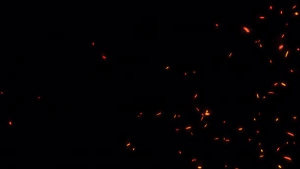 抽象的なシームレスなループグローファイア粒子アニメーションアッシュスパークは 透明なアルファチャネルで上昇し プロジェクトの背景をオーバーレイするために使用することができます 灰粒子を燃やしている激しいオレンジ色の光の混沌とした動き — ストック動画