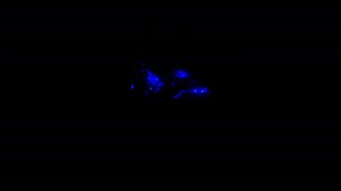 Siyah soyut arkaplan üzerindeki NFT renkli neon lazer metin hatası animasyon başlığı.