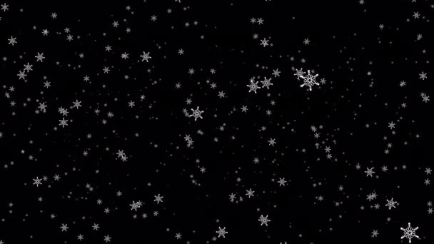 Vacker Loop Faller Rörlig Vit Stjärna Snöflingor Partiklar Animaiton Svart — Stockvideo