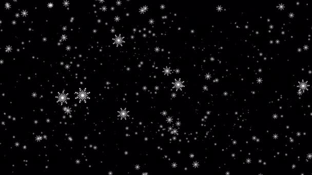 Schleife Glühen Weiße Sternenflocken Partikel Fallen Animation Auf Schwarzen Abstrakten — Stockvideo