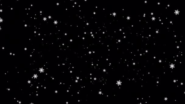 Schöne Schleife Fallen Beweglichen Weißen Sternenflocken Teilchen Animaiton Auf Schwarzen — Stockvideo