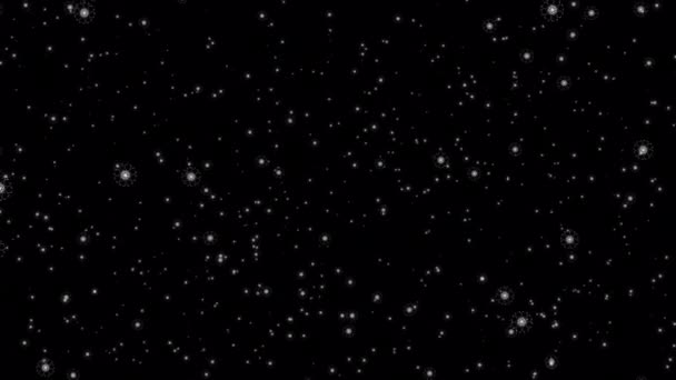 美丽的环状下落运动的白色星片在黑色抽象背景上激发出动漫粒子 用Alpha信道分离Quicktime Prores 444编码 — 图库视频影像