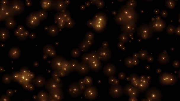 Mooie Lus Flikkerende Gloed Gouden Sterren Deeltjes Animatie Zwarte Abstracte — Stockvideo