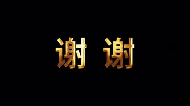 Chinês Caligrafia Tradução Inglês Obrigado Palavra Chinesa Obrigado Texto Dourado — Vídeo de Stock