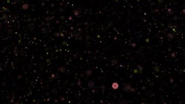 Siyah soyut arkaplanda kıvılcım saçan parçacıklar canlanıyor. 4K 3D kaotik ateşli altın hareketi 