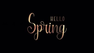 Hello Spring altın metni siyah soyut arkaplan üzerinde ışık hareketi animasyon ögesi efekti parlatıyor. 4K kusursuz döngü izole edilmiş şeffaf video canlandırma metni