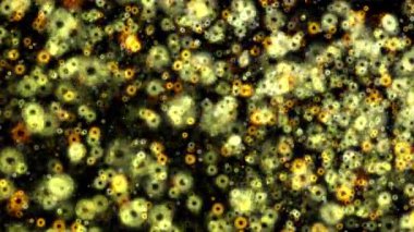 Soyut dikişsiz döngü yeşil turuncu sıçrama parçacıkları kıvılcım bombası animasyon etkisi siyah soyut arkaplan üzerinde etkinlik, VJ, konser, başlık, fragman, sunum gösterisi. 