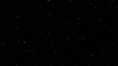 VJLoop titreşen altın toz yıldızı parçacıkları kara soyut arkaplan üzerinde hareket akışı. Siyah arkaplan hareketindeki altın yıldız parçacığı sinematik başlıklar