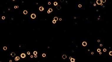 Siyah soyut arka planda uçan animasyon altın baloncuk parçacıkları. Siyah arkaplan hareket başlıkları üzerinde Neo altın parçacığı sinematik arkaplan döngüsü. 