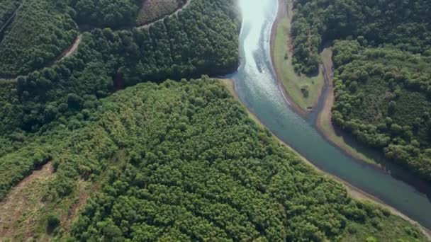 Річка Повітряна Річка Зелений Ліс — стокове відео
