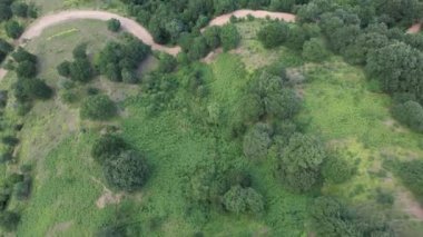 Kırsal yol, havadan kırsal yol ve ağaçlar