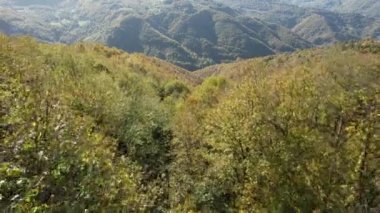 Kestane ağaçları, havadan kestane ağaçları ve orman vadisi