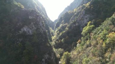 Kanyon, havadan derin ve yeşil kanyon manzaralı, serindere hindisi.