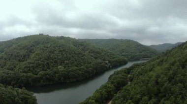 Yağmur ormanları, yağmur ormanları ve dereler