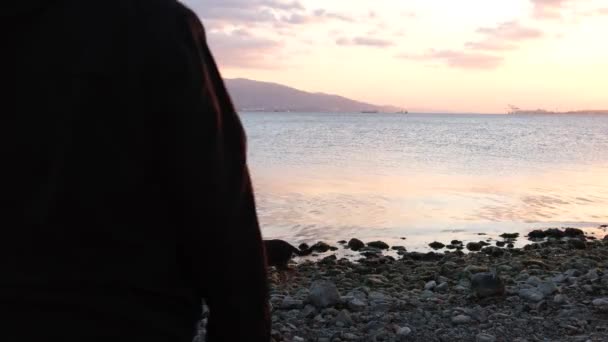 Homem Andando Praia Homem Solitário Andando Sozinho Praia Silhueta — Vídeo de Stock