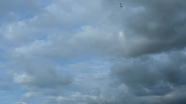 Nubes Nubes Grises Lapso Tiempo — Vídeos de Stock