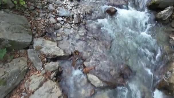 Potok Vzdušný Potok Malý Vodopád Přírodě — Stock video