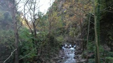 Doğa, havadan çekilen dere doğada.