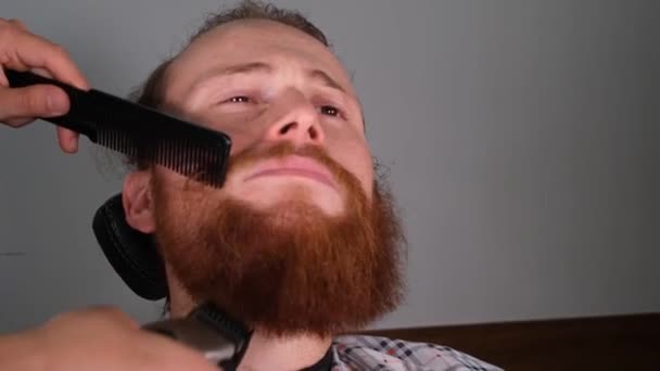 Shaving Beard Red Bearded Man Shaving Beard Shaver — Stockvideo