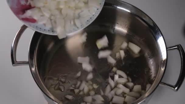 鍋に玉ねぎを入れ 鍋に玉ねぎを入れ — ストック動画