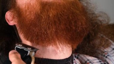 barber styling beard, barber styling beard of man with red beard