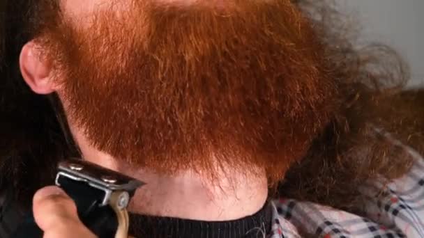 Barber Styling Beard Barber Styling Beard Man Red Beard — Wideo stockowe