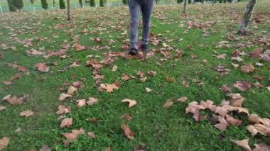 Sonbaharda yürüyen, sonbaharda yaprakların arasında yürüyen bir adam.