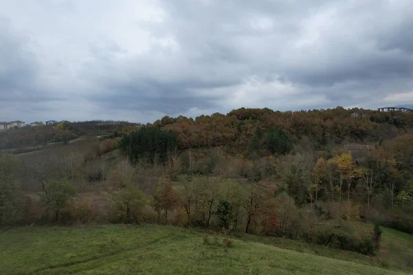 Hava ve orman, kötü bulutlu hava ve orman