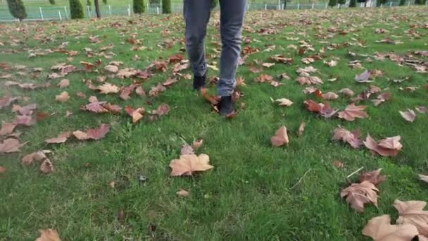 Walking Autumn Man Walking Leaves Autumn His Feet Visible — Stock Video