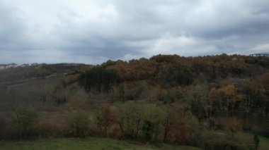 Orman, yeşil orman ve sonbaharda kötü hava