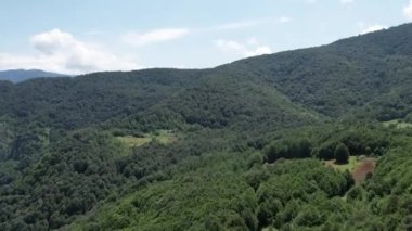 Çam Ormanı, Çam Ormanı ve Gökyüzü