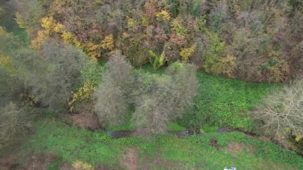 森や草や森の近くの空中の小さな小川 — ストック動画