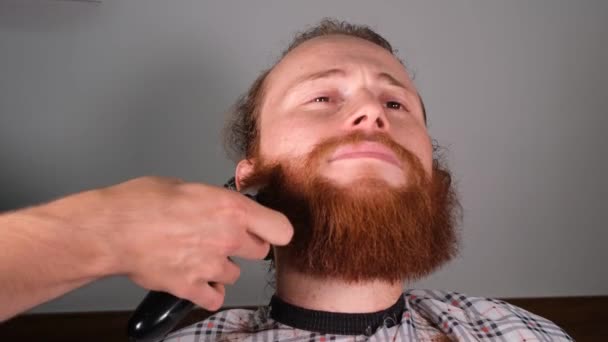 Shaving Beard Red Bearded Man Shaving Beard Shaver — Stockvideo