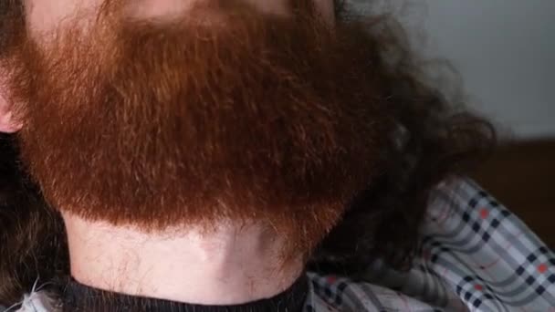 Barber Styling Beard Barber Styling Beard Man Red Beard — Vídeos de Stock
