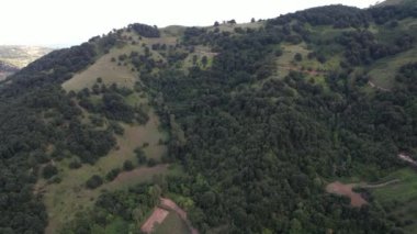 Dağlar, seyrek ağaçlar, yeşil dağlar ve seyrek ağaçlar.