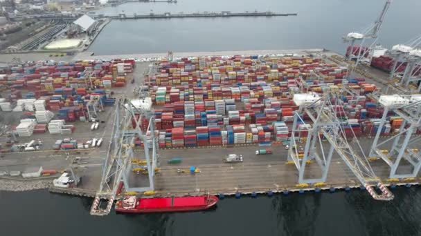 Container Port Antenn Container Port Och Kranar För Import Och — Stockvideo