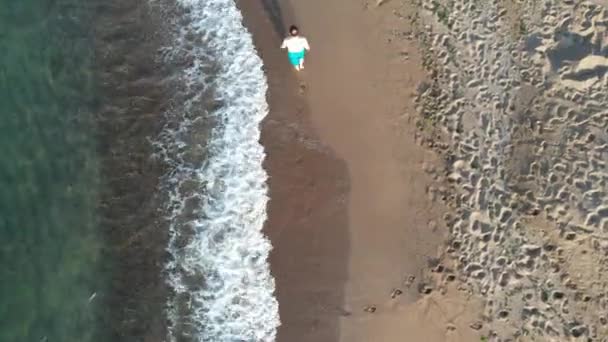 Beach Aerial Man Walking Beach — Vídeos de Stock