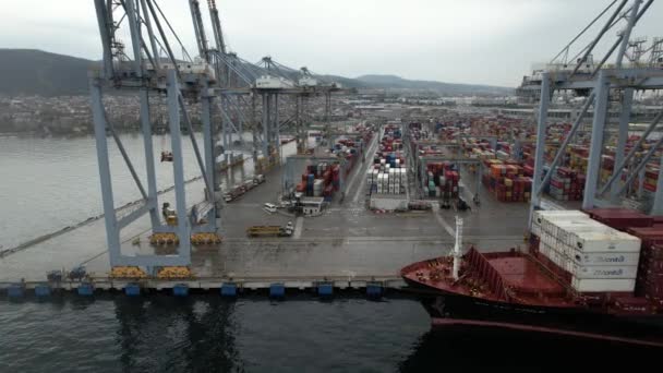 Container Aerial Container Port Containers Cranes Cargo — Vídeo de stock