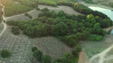 tree clusters, aerial tree clusters on rural area