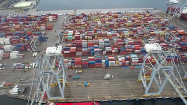Container Port Aerial Container Port Goods Cargo — Stockvideo