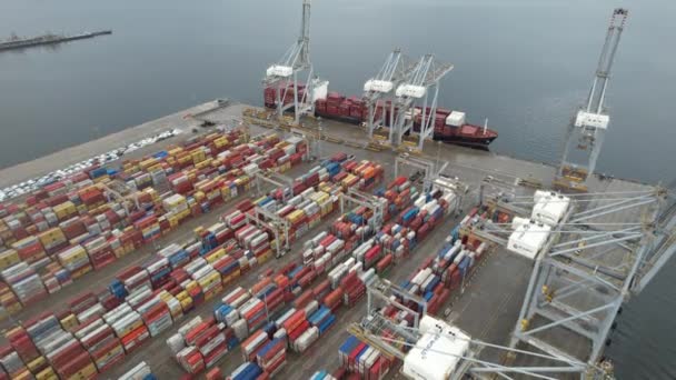 Aerial Container Port Cargo Goods — Vídeo de stock