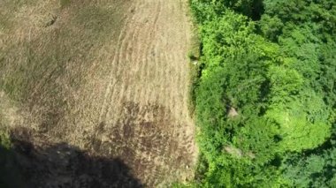 aerial harvested fields and green forest